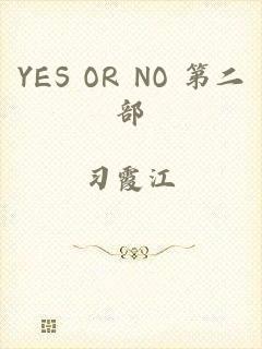 YES OR NO 第二部